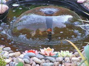 Pond in the country with their own hands