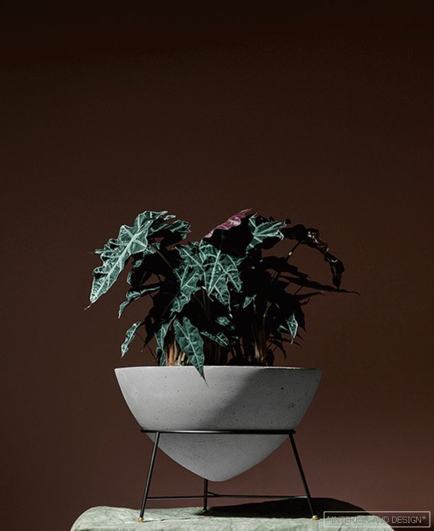 Matter made: exhibition in milan