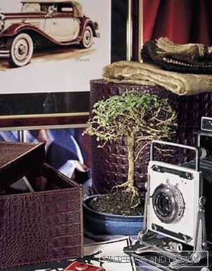 Still life: vitality and materiality
