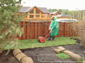 Features of lawns