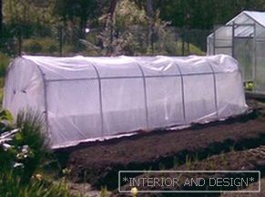 Greenhouse for cucumbers with their own hands