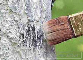 Whitening trees: the period and composition of whitewashing