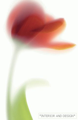 Tulip revolution