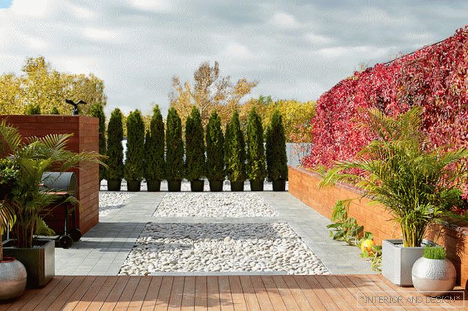 Gardens of babylon