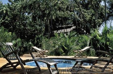 Safari at half past five