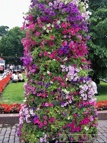 Creating flower beds in the country with their own hands