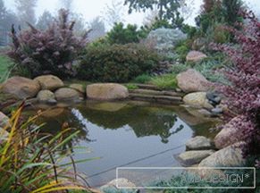 Choosing a vacuum cleaner for the pond